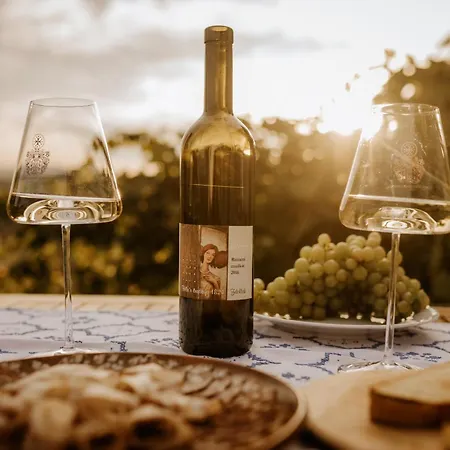 Vineyard Zdolsek Дом отдыха