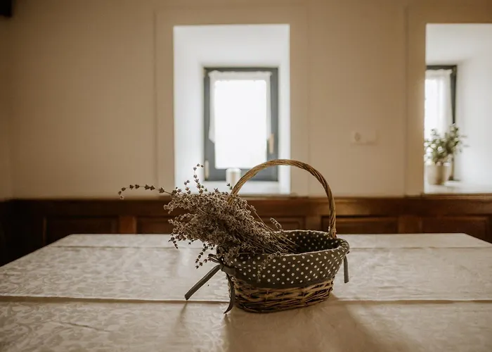 Vineyard Zdolsek Holiday home *