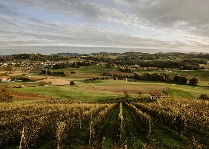 Vineyard Zdolsek Holiday home Smarje pri Jelsah