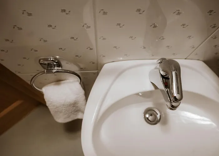 Vineyard Zdolsek Smarje pri Jelsah