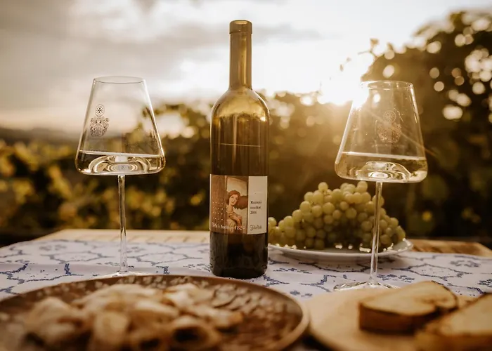 Vineyard Zdolsek Holiday home