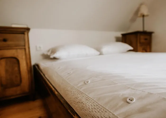 Holiday home Vineyard Zdolsek *