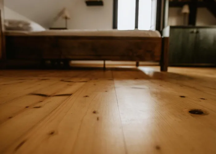 Vineyard Zdolsek Holiday home